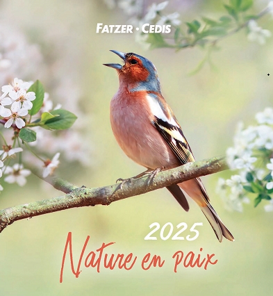 CALENDRIER 2024 NATURE EN PAIX - XXX - Librairie La Procure Notre