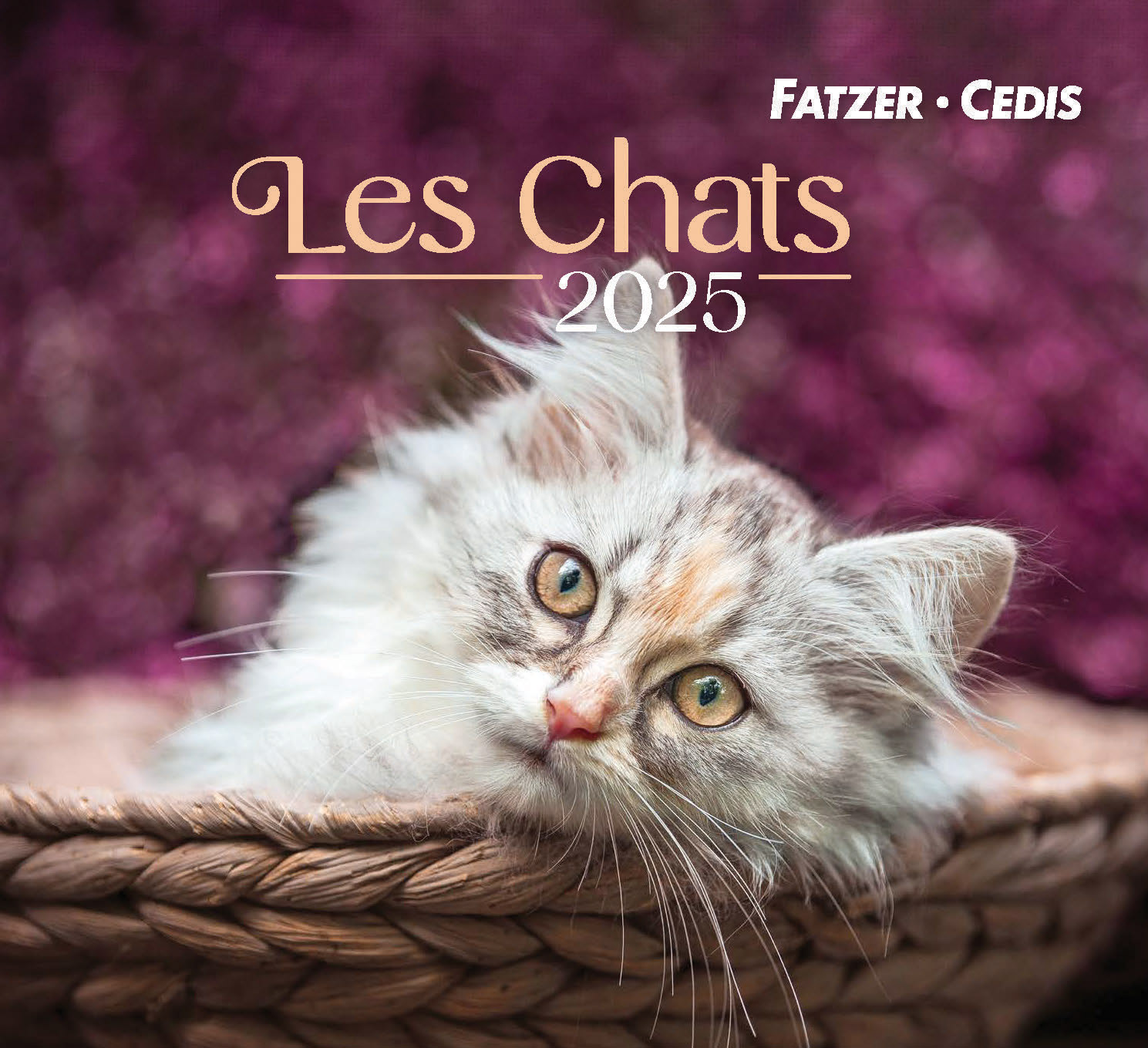 Chats petit format 2024 (3700318998149): Collectif: CLC France